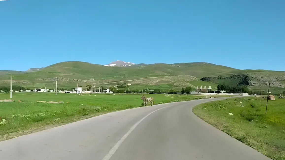 مسیر جادهای آرام در اردبیل با مناظر کوهستانی و پوشش گیاهی سبز
