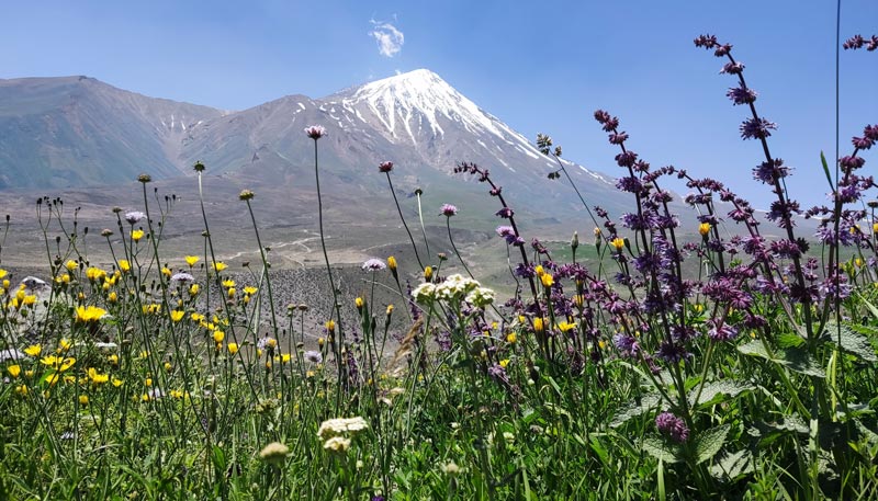 روستای ناندل